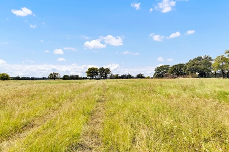 Van Texas Vacant Land for Sale Near Canton East of Dallas - image 25