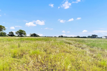 Van Texas Vacant Land for Sale Near Canton East of Dallas - image 22
