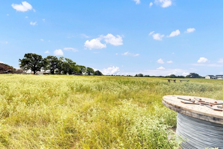 Van Texas Vacant Land for Sale Near Canton East of Dallas - image 16