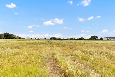 Van Texas Vacant Land for Sale Near Canton East of Dallas - image 26