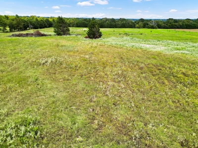 Van Texas Vacant Land for Sale Near Canton East of Dallas - image 11