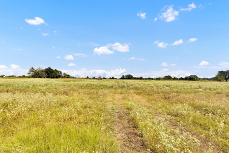 Van Texas Vacant Land for Sale Near Canton East of Dallas - image 24
