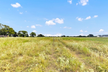 Van Texas Vacant Land for Sale Near Canton East of Dallas - image 20