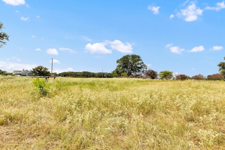 Van Texas Vacant Land for Sale Near Canton East of Dallas - image 27