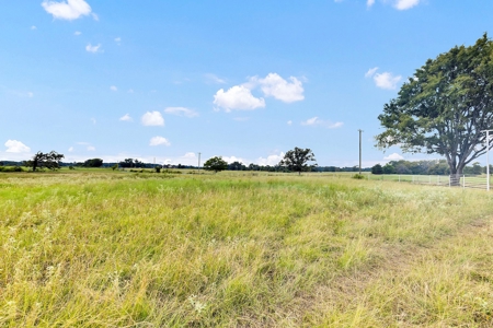 Van Texas Vacant Land for Sale Near Canton East of Dallas - image 21