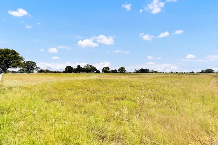 Van Texas Vacant Land for Sale Near Canton East of Dallas - image 17