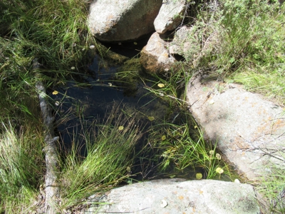 Colorado Ranch: 115 Acres Bordering State Land - Great Views - image 21