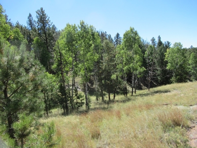 Colorado Ranch: 115 Acres Bordering State Land - Great Views - image 17