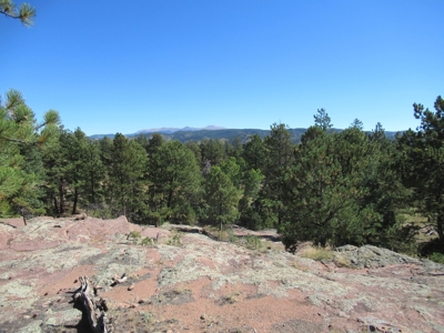 Colorado Ranch: 115 Acres Bordering State Land - Great Views - image 7