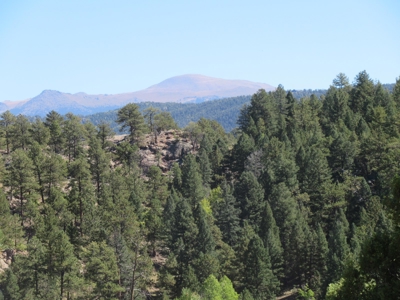 Colorado Ranch: 115 Acres Bordering State Land - Great Views - image 3