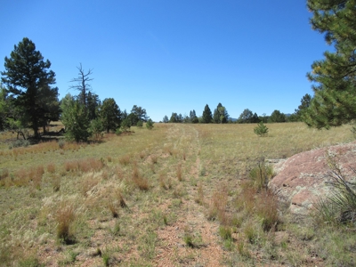 Colorado Ranch: 115 Acres Bordering State Land - Great Views - image 22