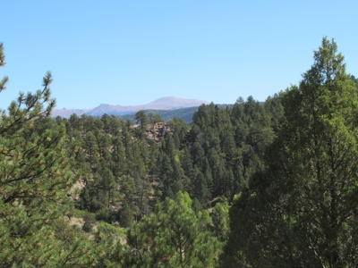 Colorado Ranch: 115 Acres Bordering State Land - Great Views - image 4