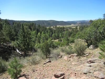 Colorado Ranch: 115 Acres Bordering State Land - Great Views - image 6
