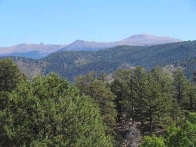 Colorado Ranch: 115 Acres Bordering State Land - Great Views - image 8