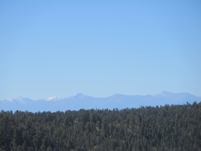 Colorado Ranch: 115 Acres Bordering State Land - Great Views - image 12