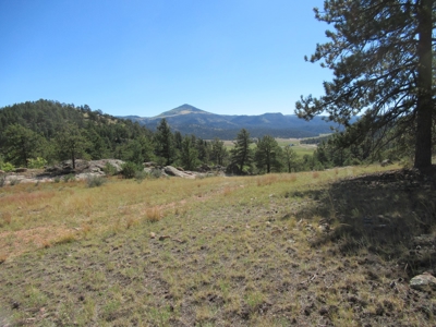 Colorado Ranch: 115 Acres Bordering State Land - Great Views - image 1