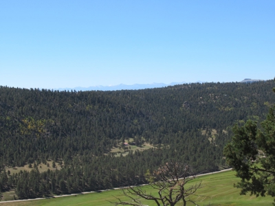 Colorado Ranch: 115 Acres Bordering State Land - Great Views - image 11