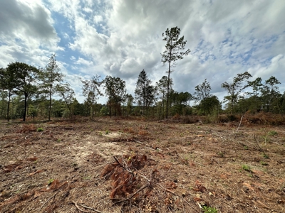 East Texas Recreation/Hunting Land For Sale - image 20