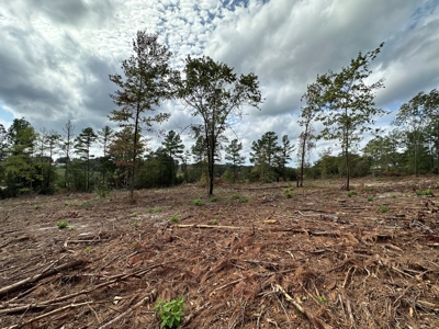 East Texas Recreation/Hunting Land For Sale - image 23