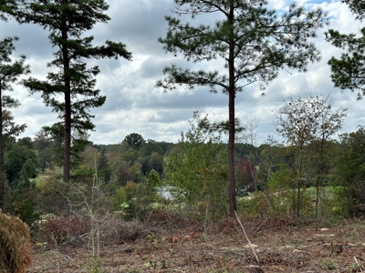 East Texas Recreation/Hunting Land For Sale - image 24