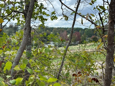East Texas Recreation/Hunting Land For Sale - image 27