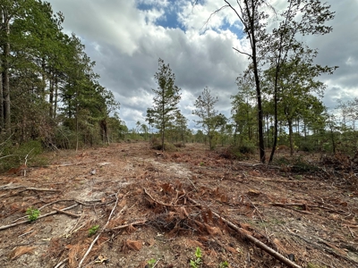 East Texas Recreation/Hunting Land For Sale - image 17