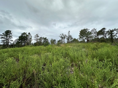 East Texas Recreation/Hunting Land For Sale - image 5