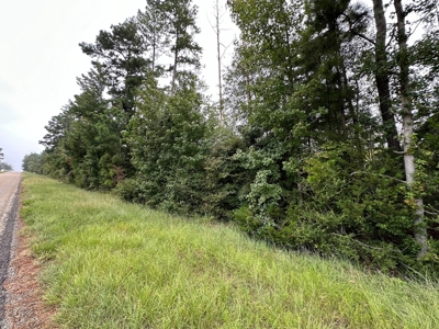 East Texas Recreation/Hunting Land For Sale - image 6