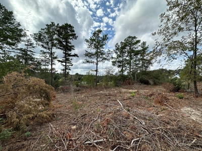 East Texas Recreation/Hunting Land For Sale - image 25