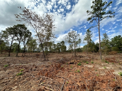 East Texas Recreation/Hunting Land For Sale - image 22