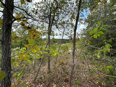 East Texas Recreation/Hunting Land For Sale - image 26