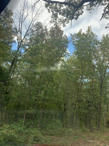 Land for sale in Ava Mo with highway frontage - image 11