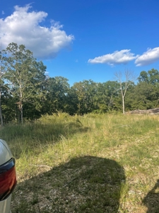 Land for sale in Ava Mo with highway frontage - image 2