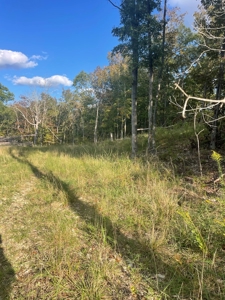 Land for sale in Ava Mo with highway frontage - image 3