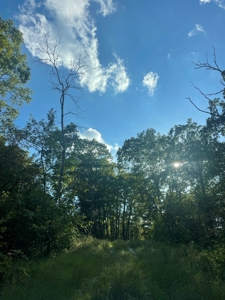 Land for sale in Ava Mo with highway frontage - image 6