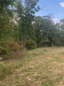 Land for sale in Ava Mo with highway frontage - image 7