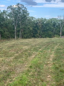 Land for sale in Ava Mo with highway frontage - image 9