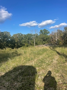 Land for sale in Ava Mo with highway frontage - image 1
