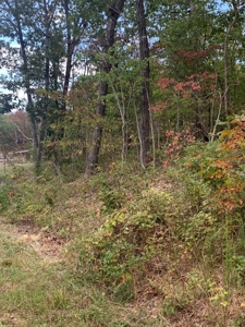 Land for sale in Ava Mo with highway frontage - image 8