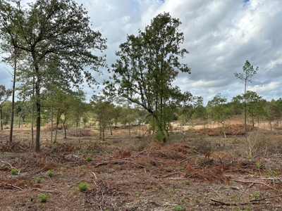 East Texas Recreational/Hunting Land For Sale - image 15