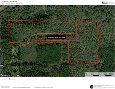 East Texas Hunting/Timber/Recreational Land In Cass County - image 1