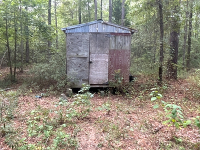 East Texas Hunting/Timber/Recreational Land In Cass County - image 3