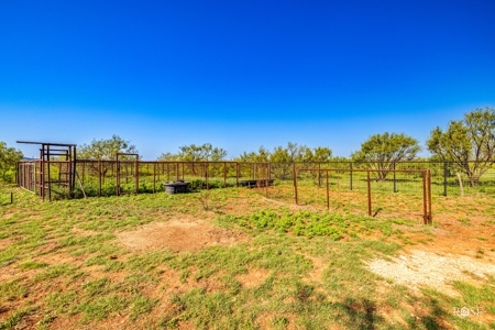 Tennyson Gentleman's Hunting and Livestock Ranch near San An - image 47