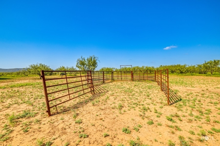 Tennyson Gentleman's Hunting and Livestock Ranch near San An - image 10