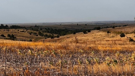 Furnas County Nebraska Farm, Crp & Hunting For Sale - image 3