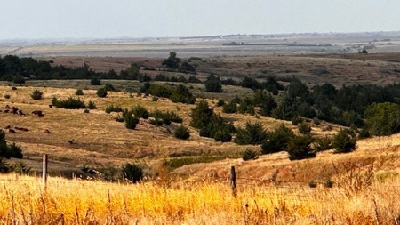 Furnas County Nebraska Farm, Crp & Hunting For Sale - image 4