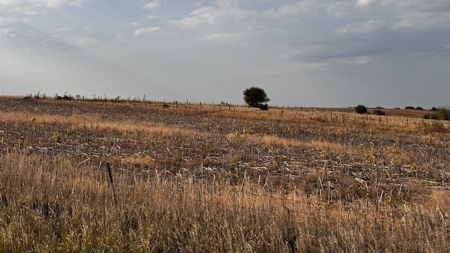 Furnas County Nebraska Farm, Crp & Hunting For Sale - image 5