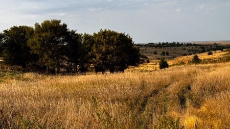 Furnas County Nebraska Farm, Crp & Hunting For Sale - image 1