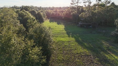 471  Acres, Over 3 miles of River Frontage, Pierce County Ga - image 6