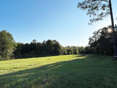 471  Acres, Over 3 miles of River Frontage, Pierce County Ga - image 2